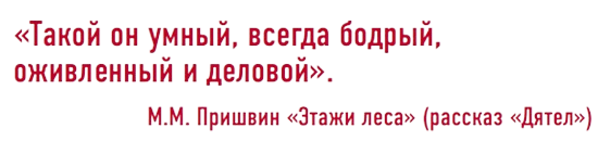 Рассказ "Дятел"