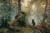 Утро в сосновом лесу